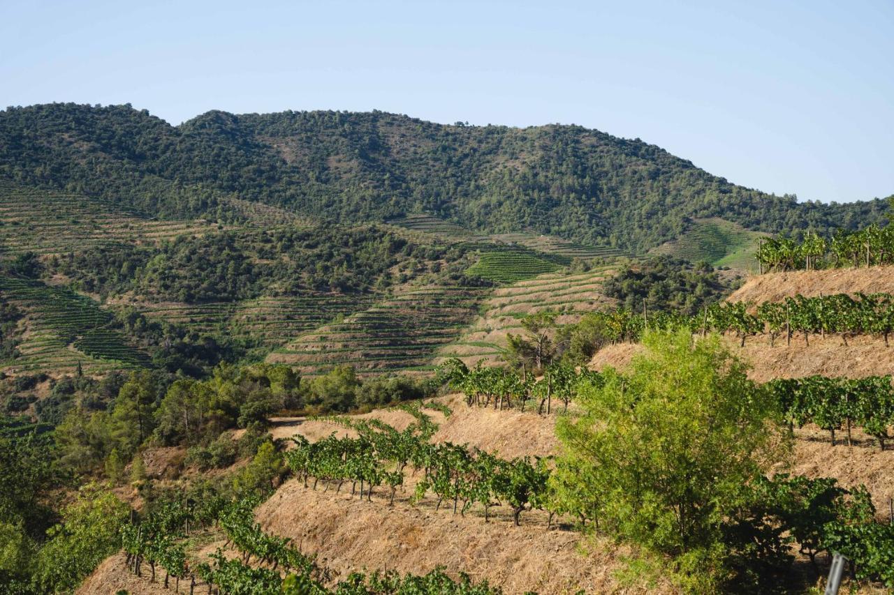 Ora Hotel Priorat, A Member Of Design Hotels Torroja ภายนอก รูปภาพ